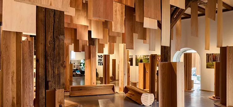 Wood for the Trees exhibition structures arranged among living forest trees