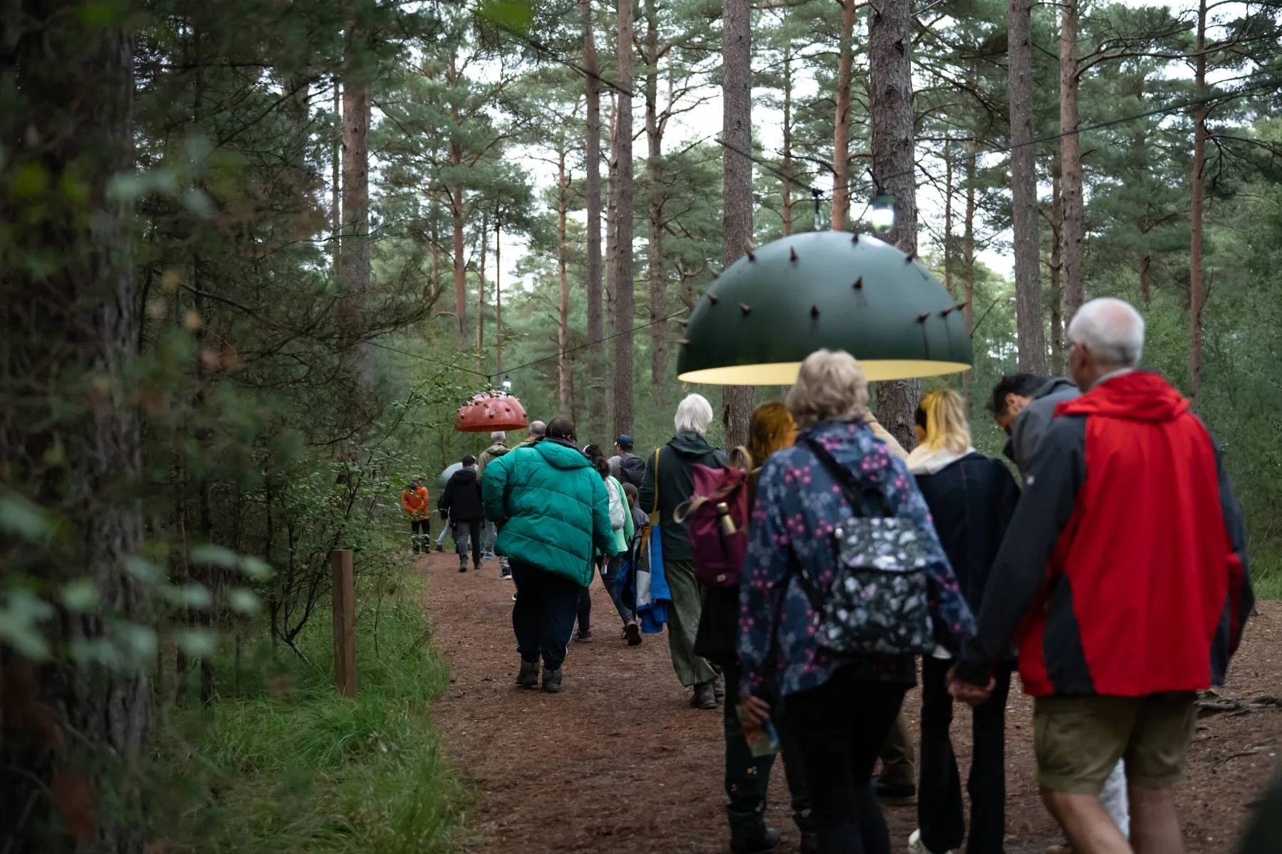 Visitors following a woodland trail beneath suspended seed-pod sculptures for Canopy