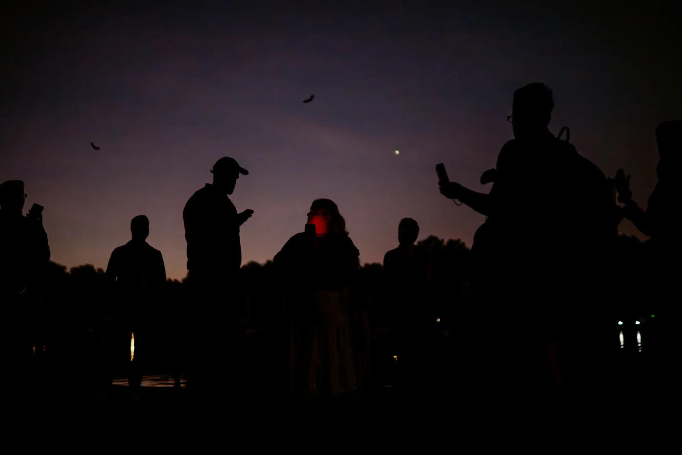 People using bat detectors at dusk while bats fly over The Regent’s Park