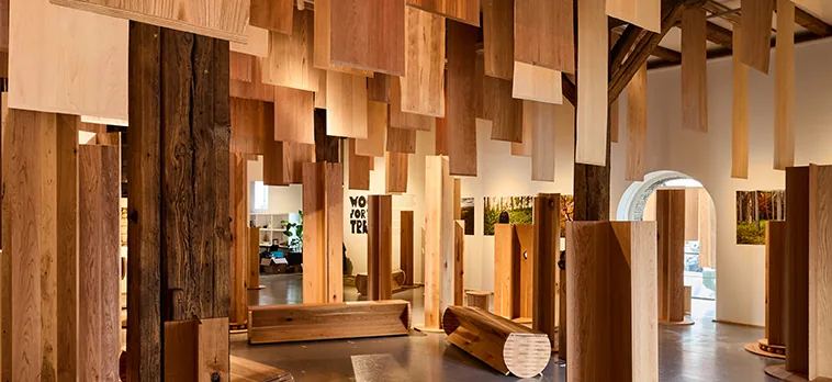 Wood for the Trees exhibition structures arranged among living forest trees