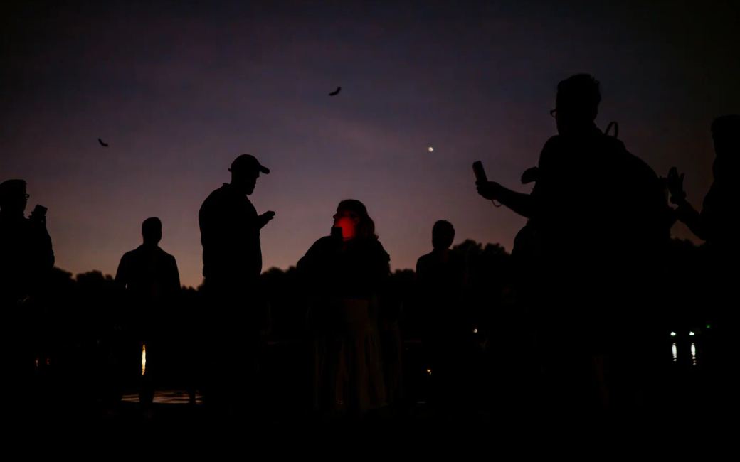 People using bat detectors at dusk while bats fly over The Regent’s Park